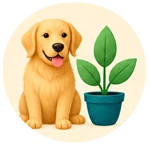 Pets & Belongings
